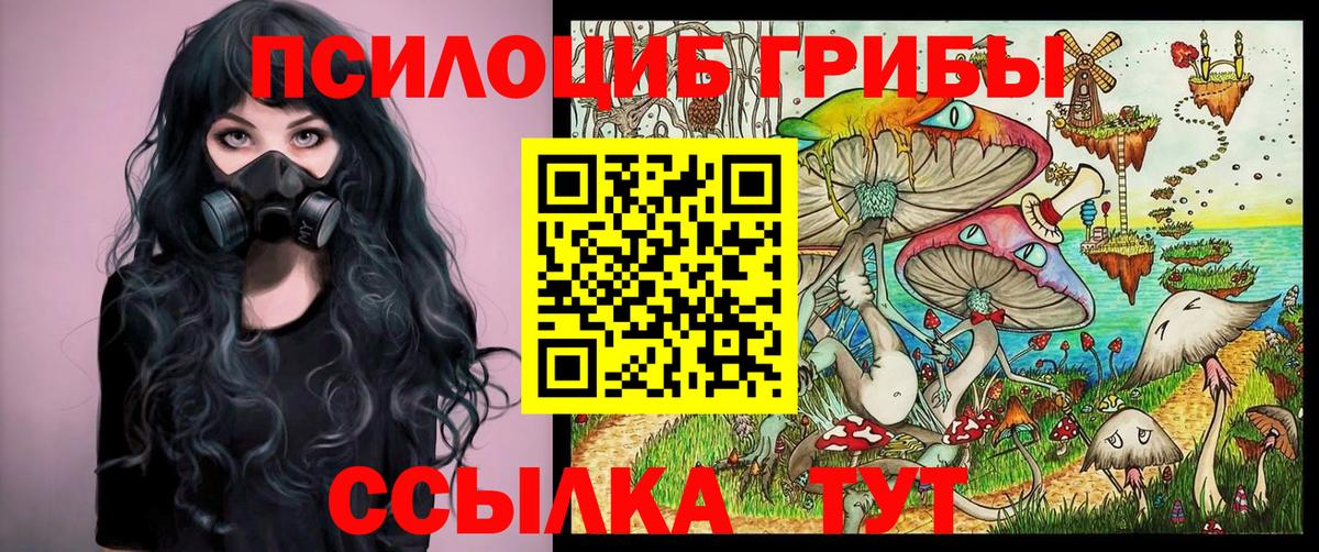 как найти закладки  Вход с VPN  Белгород  Галлюциногенные грибы мухоморы 